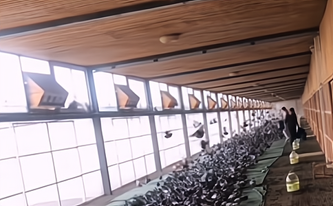 信鴿競(jìng)賽成績(jī)管理及時(shí)信息傳遞新要求 信鴿競(jìng)賽成績(jī)管理及時(shí)信息傳遞新要求